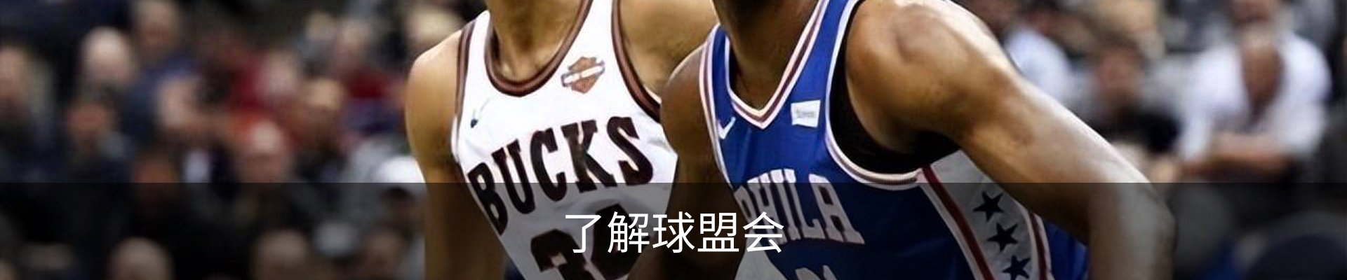 了解球盟会